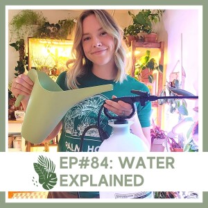 S1 Ep#84 Watering Explained