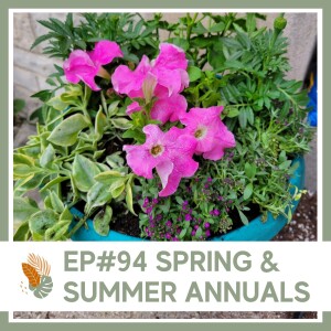 Ep#94- Spring & Summer Annuals