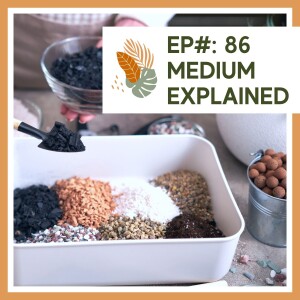 Ep#86: Medium Explained