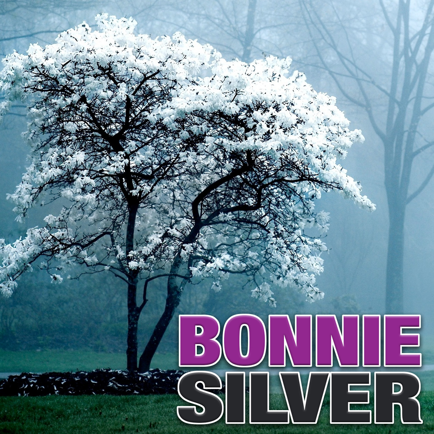 LIP 073: Listening to the Wisdom Inside You with Bonnie Silver