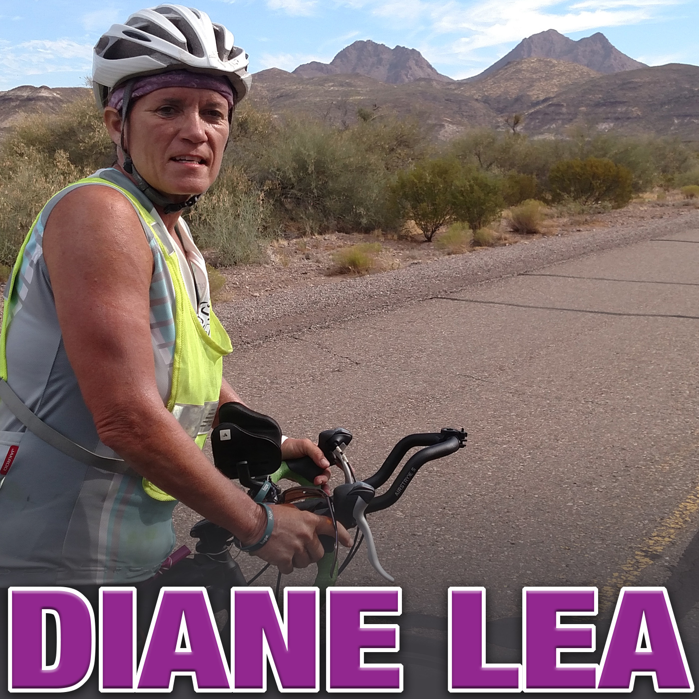LIP 047: Making a Difference at 50 with Diane Lea