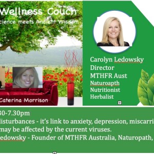 Episode #124 -The Wellness Couch chats with Carolyn Ledowsky, MTHFR