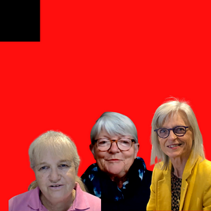 The Bobath Clinical Reasoning Framework | Margaret Mayston, Sarah Foley & Gillian Saloojee | DMCN