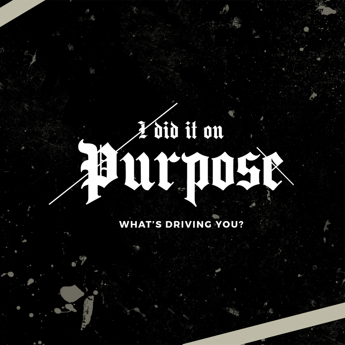 I Did It On Purpose: What's Driving You?