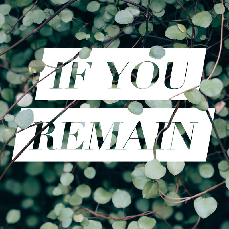 New Years Naive: If You Remain