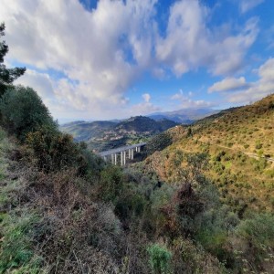 Escursione tra Castellaro e Lingueglietta: tra natura e borghi liguri