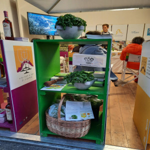 Olioliva 2021 in Imperia: the showcase of Ligurian agribusiness