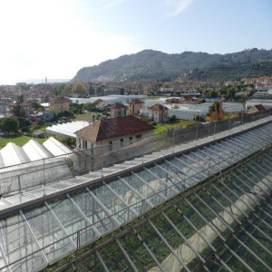 THE HISTORY OF THE FARM AND AGRITOURISM IN DIANO MARINA