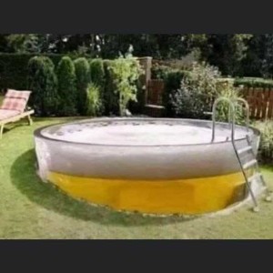 117 Chitty Chitty Beer Beer