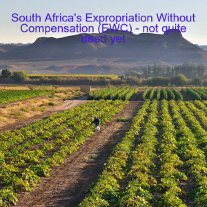 South Africa‘s Expropriation Without Compensation (EWC) - not quite dead yet