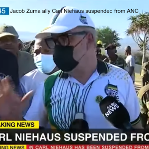 Jacob Zuma ally Carl Niehaus suspended from ANC