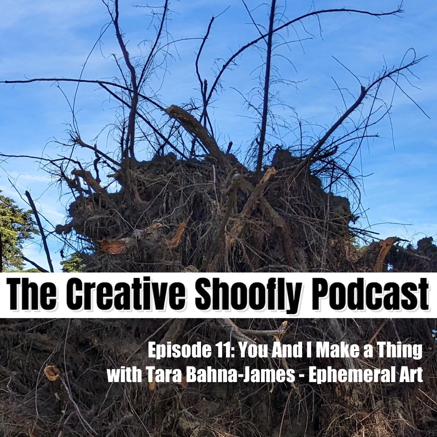 The Creative Shoofly Podcast