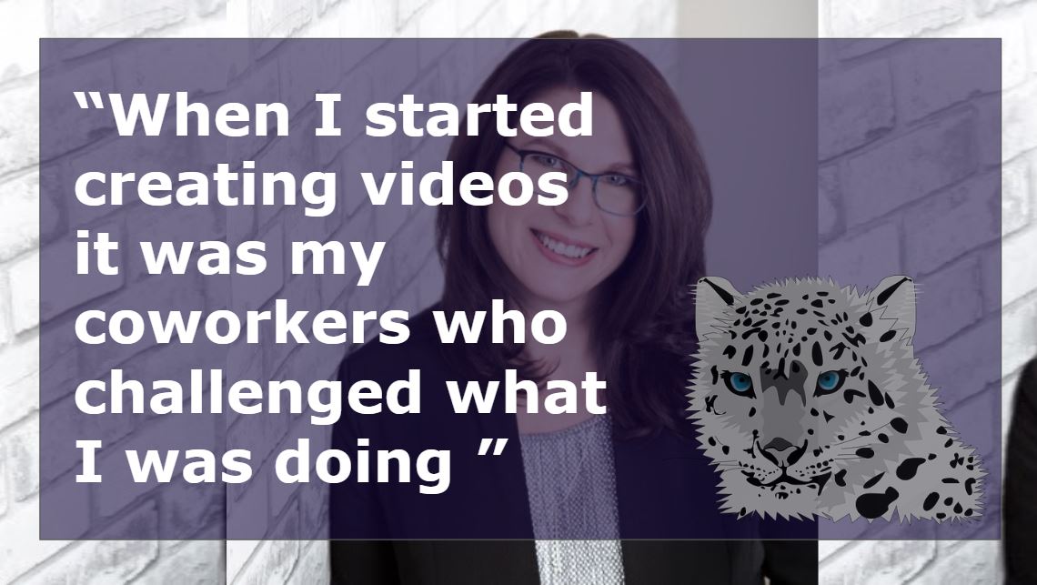 Ingari Video Confidence
