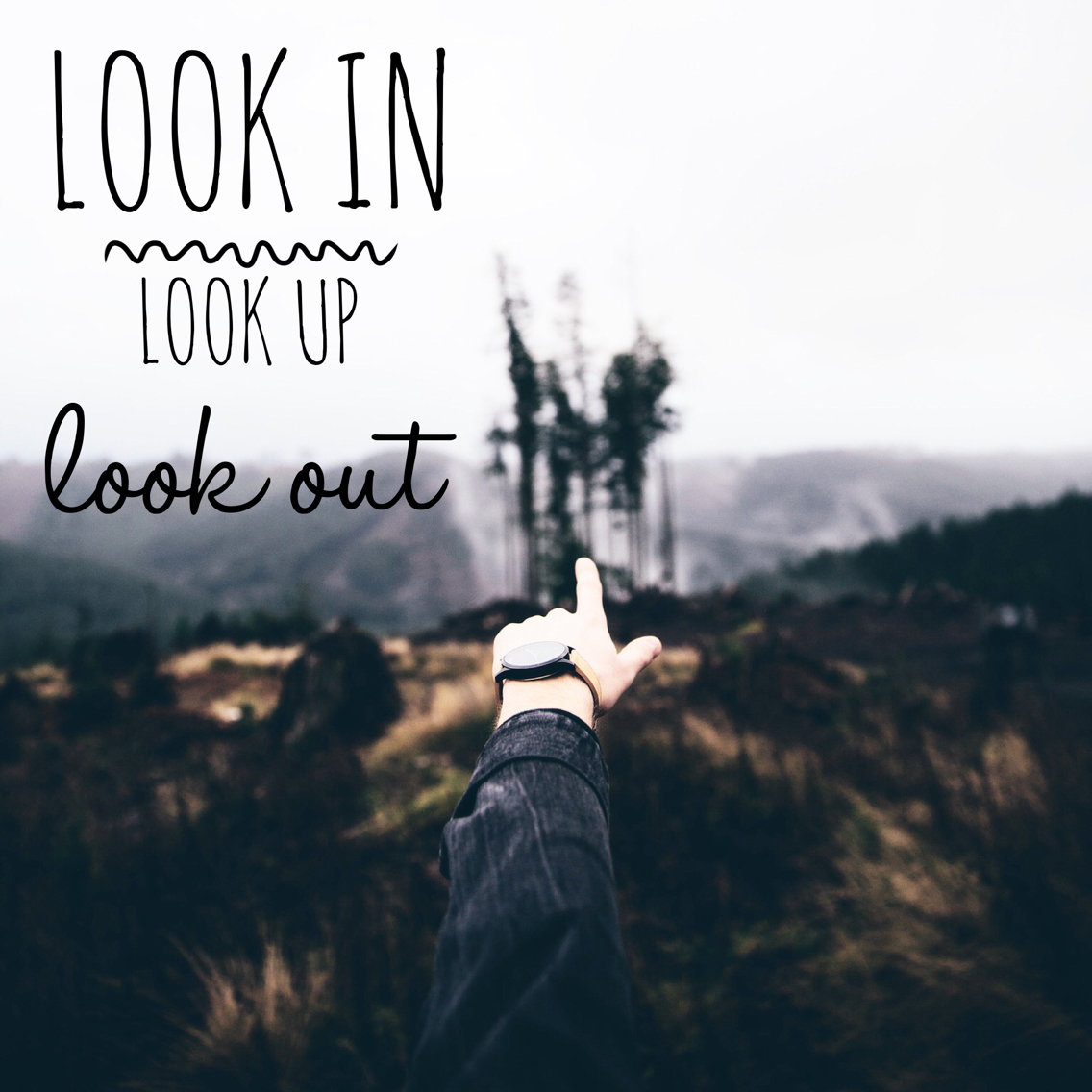 Look in Look Up Look Out