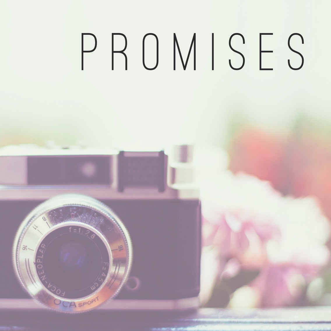 Promises: Yes and Amen 