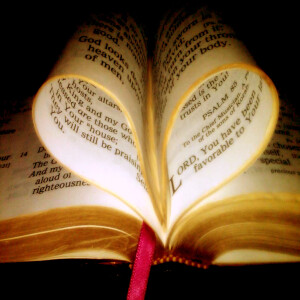 Love: Commitment, Service, Sacrifice