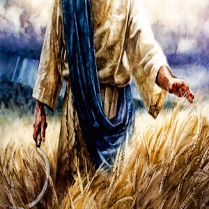 Revisiting the Great CO-MISSION!