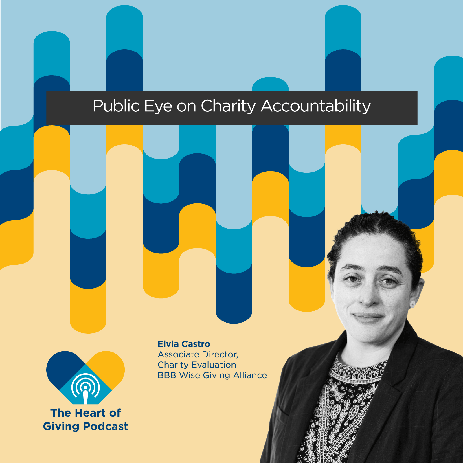 Public Eye On Charity Accountability