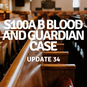Update 34 | s100A B Blood and Guardian case