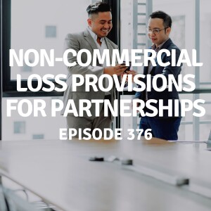 376 | Non-Commercial Loss Provisions for Partnerships