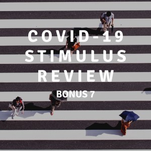 UPDATE 7 | COVID-19 Stimulus Review