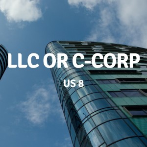 US 8 | LLC or C-Corp