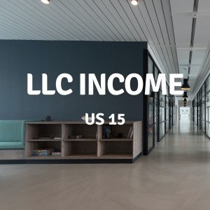 US 15 | LLC Income