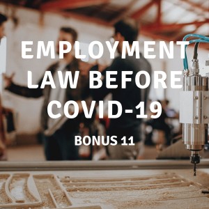 UPDATE 11 | Employment Law Before COVID-19