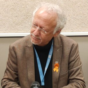 Fernand de Varennes, Rapporteur spécial sur les questions relatives aux minorités