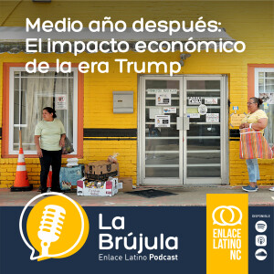 Medio año después: El impacto económico de la era Trump