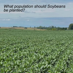 What population should Soybeans be planted? | Season 2 Episode 4