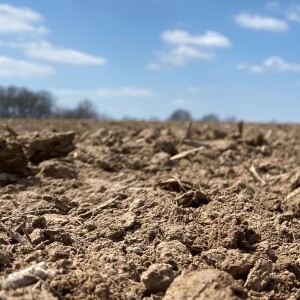 Understanding Soil pH, Buffer pH, and its Cation Exchange Capacity | Agronomist Jon Skinner speaks