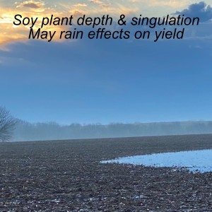 Soybean plant depth & singulation | May rain effects on yield | Season 2 Episode 7