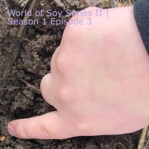 World of Soy Series II | Season 1 Episode 3