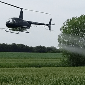 Are Fungicides Fun? | Disease in corn & soybeans | How Active Ingredients stop or slow fungus