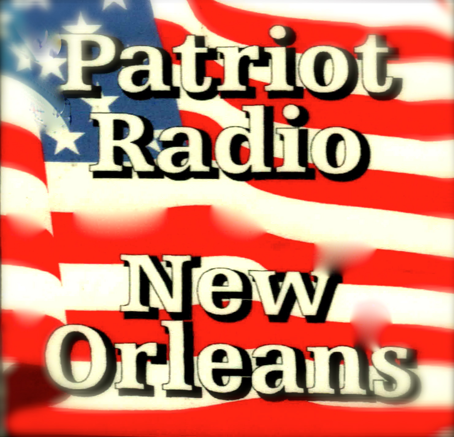 Battle of New Orleans /Feedthetruth.com