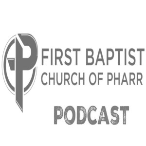 Episode 355 - Firstborn - A Journey on the Preeminence of Christ (Romans 8:28-30)