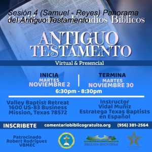 Sesión 4 (Samuel - Reyes) Panorama del Antiguo Testamento
