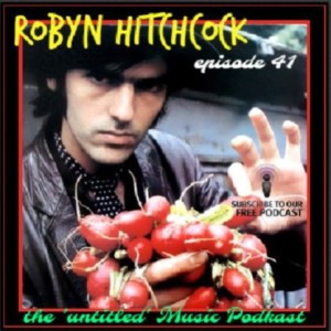 EPISODE 028- Robyn Hitchcock / Soft Boys