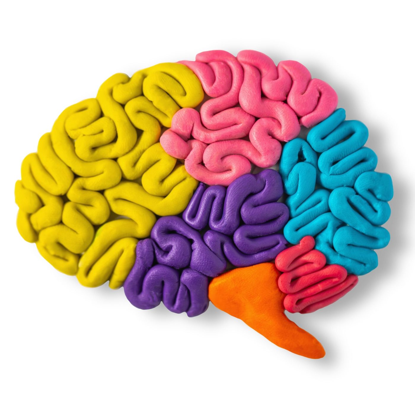 004. How Homeopathy Saved My Brain