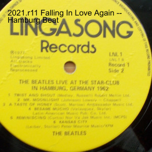 2021.r11 Falling In Love Again -- Hamburg Beat