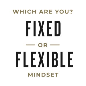 MS9 - Which are you? Fixed or flexible mindset