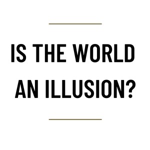 MS65 - Is the world an illusion?
