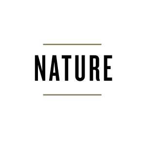 MS26 - Nature