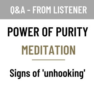 MS63 - Q&A Power of Purity meditation - Signs of 'unhooking'