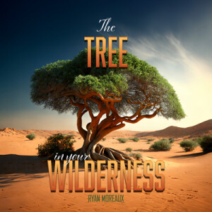 02252024 | The Tree in your Wilderness | Ryan ”Remo” Moreaux | Message Only