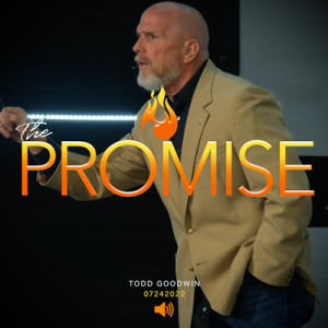 7242022 | The Promise | Todd Goodwin | Full Service