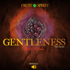 08062023 | Fruit of the Spirit | Gentleness | Part 11 | Elisha Hickman | Message Only