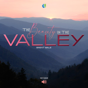 10112020 | The Beauty In The Valley | Brent Wale | Message Only