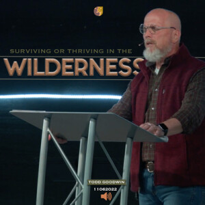 11062022 | Surviving or Thriving in the Wilderness | Todd Goodwin | Full Service